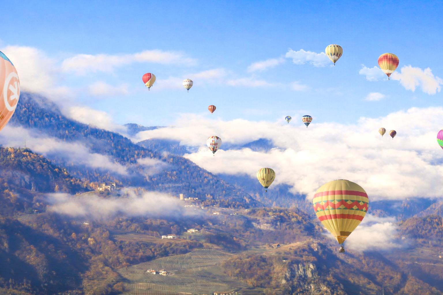 Projekte steuernf&uuml;r maximalen Erfolg